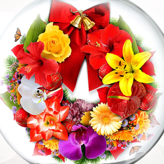 Campanha de natal Veiling Holambra